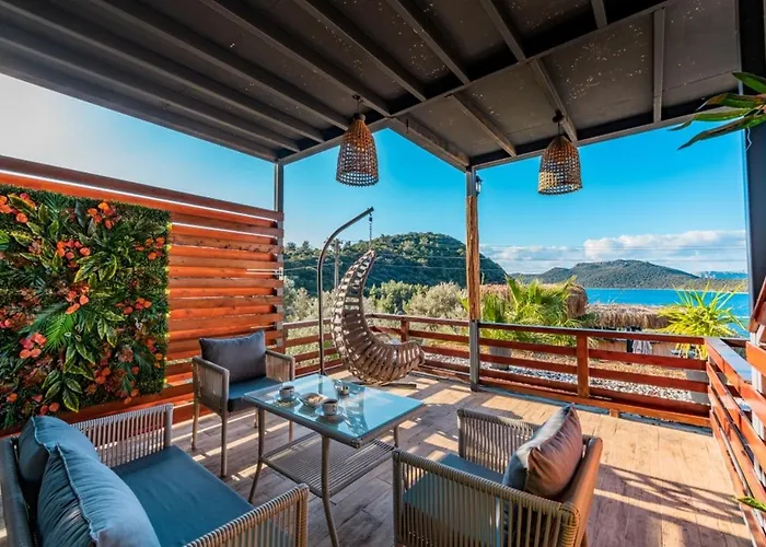 The Luxury Shelters カシュ