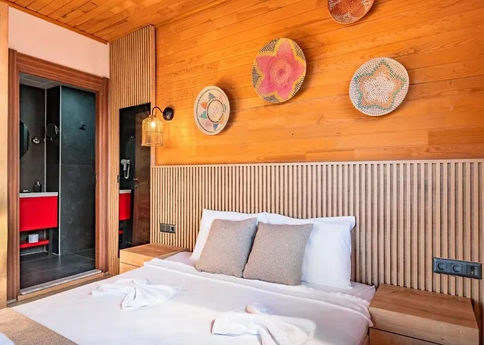 The Luxury Shelters ゲストハウス