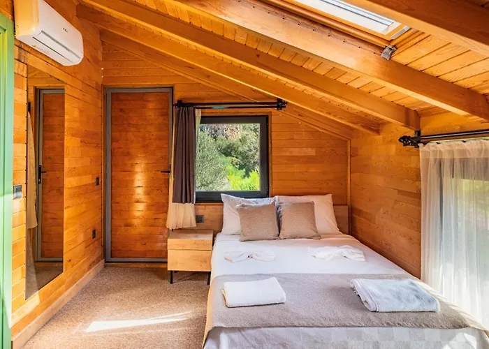 The Luxury Shelters 3* カシュ