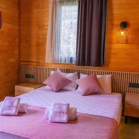 Otel The Luxury Shelters 3*