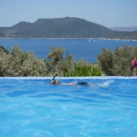 Otel The Luxury Shelters