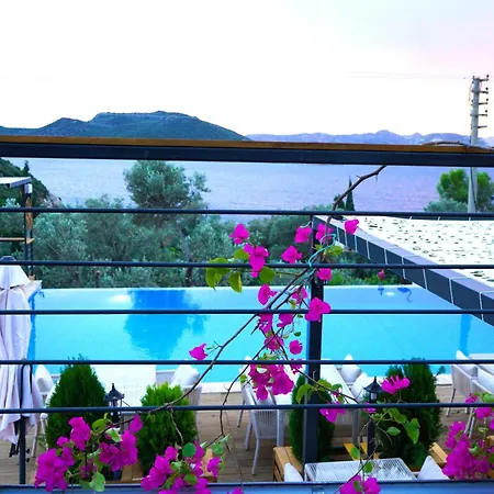 The Luxury Shelters Guest house 3*