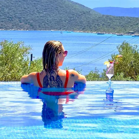 The Luxury Shelters 3*