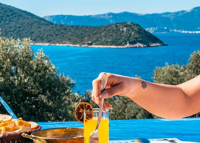 招待所 The Luxury Shelters